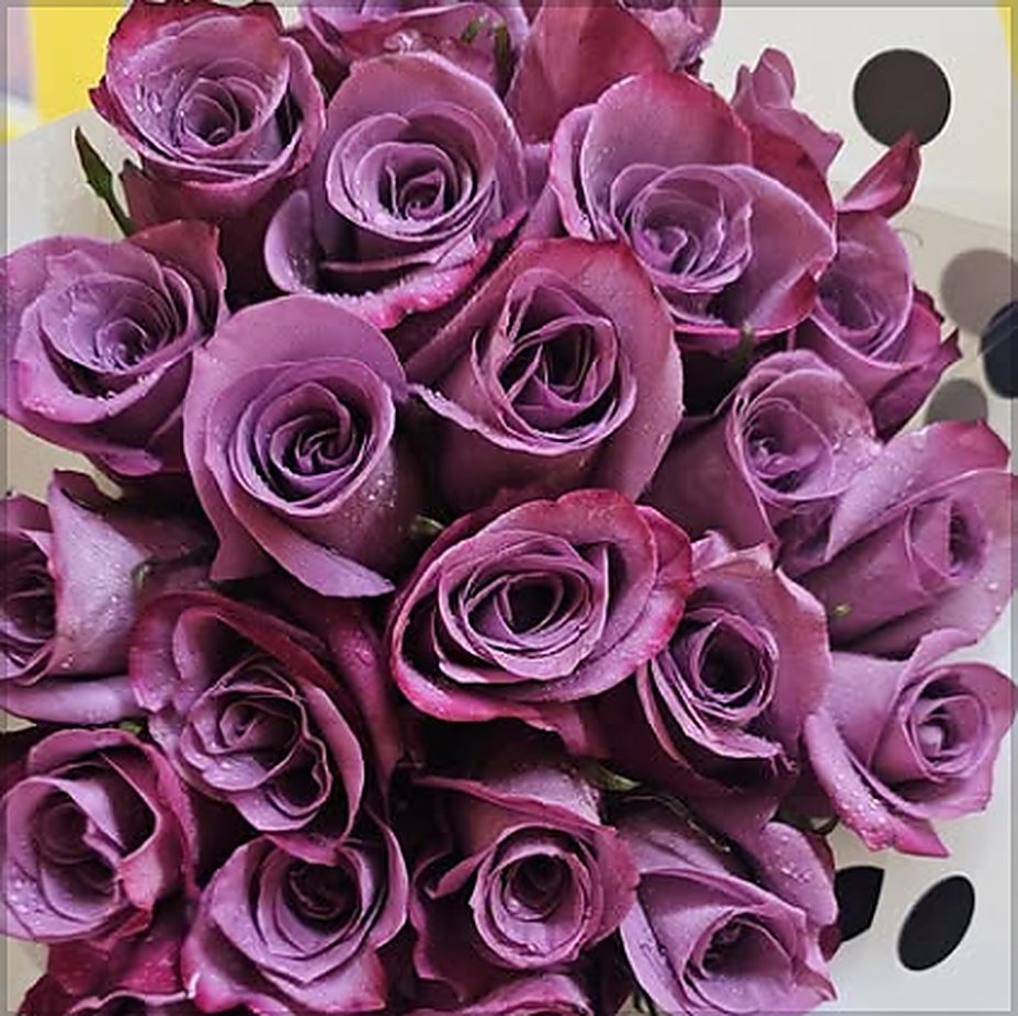 Two dozen lavender roses arranged by Serenity Flowers in Nassau